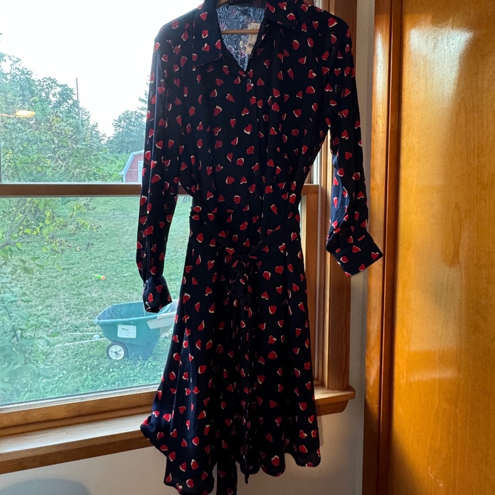 Button down dress